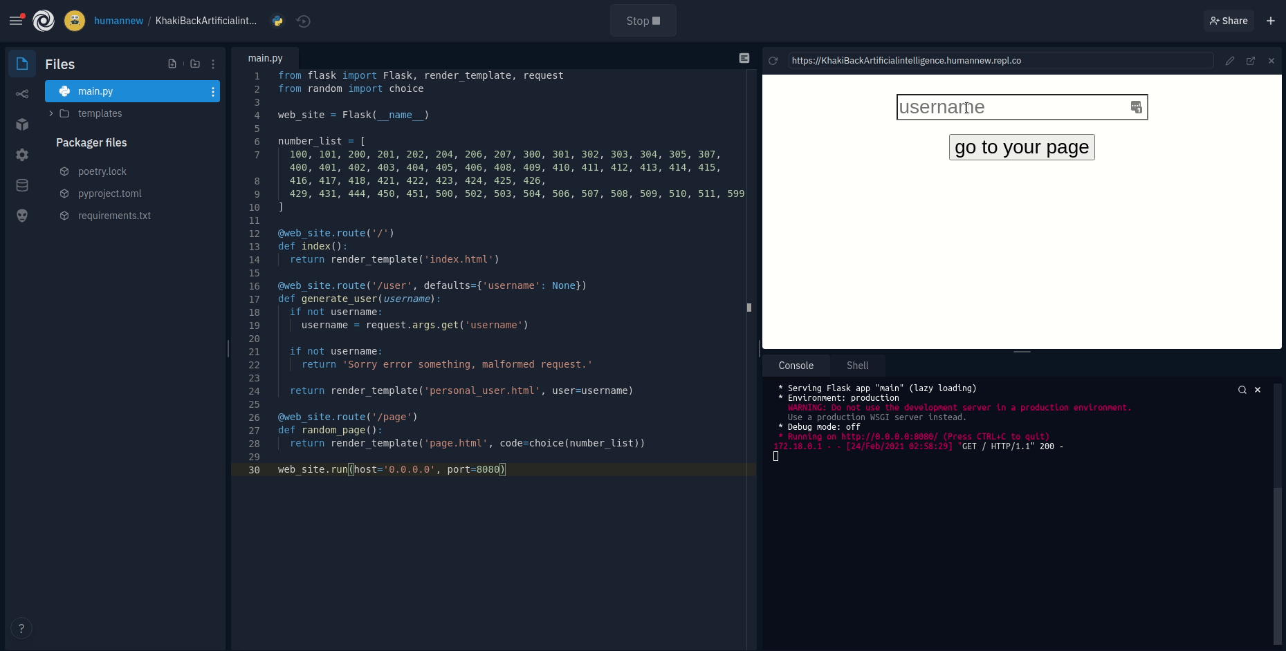 example_flask_repl